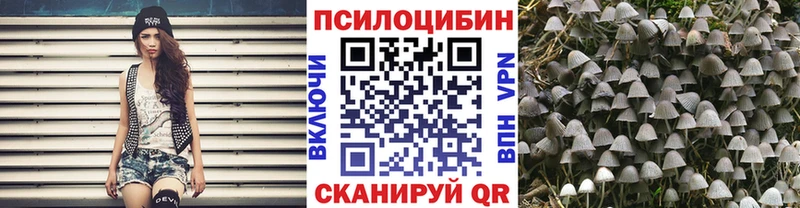 omg вход  наркотики  Артёмовск  Галлюциногенные грибы Psilocybe 